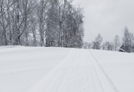 Nītaures parkā sagatavots distanču slēpošanas aplis