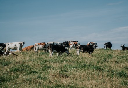 Būtiski nekustamā īpašuma nodokļa atvieglojumi bioloģiskajām lauksaimniecībām