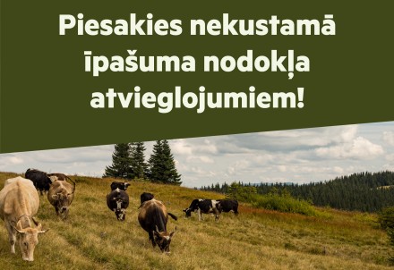 Nenokavē iesnieguma iesniegšanu par NĪN atvieglojumiem!